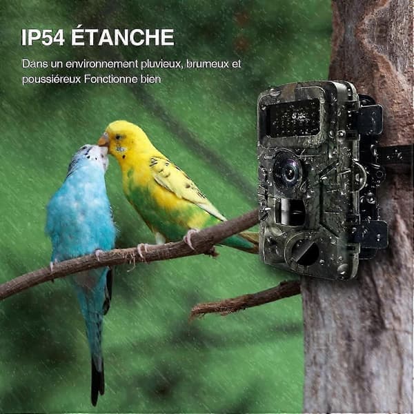 Jaktkamera HD 2.0\" LCD-skärm Trail Camera Mörkerseende Vattentät Djur Infraröd Kamera Utomhus