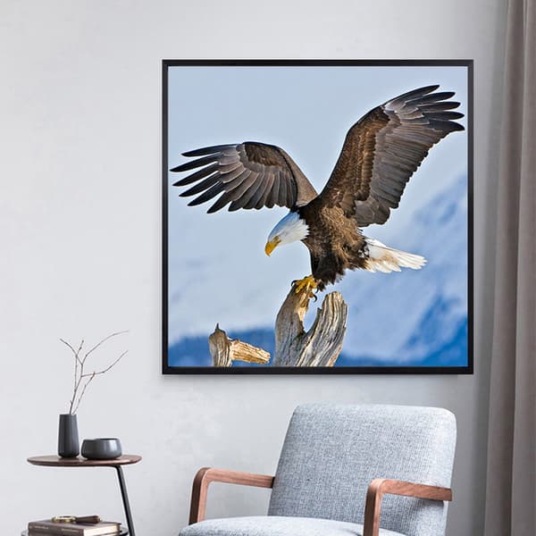##/DIY 5D Diamantmålning Kit - Örn Flyger med Vingar##/
