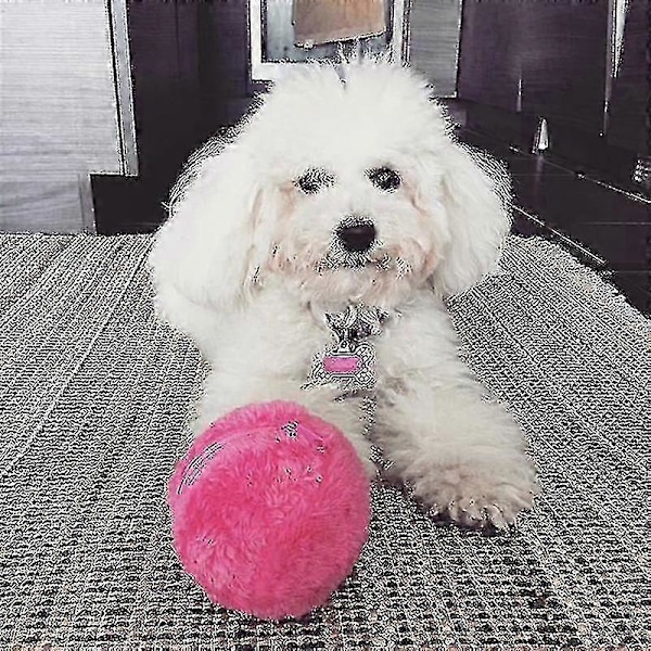 Magisk Rullande Boll Aktivering Automatisk Boll Elektrisk Hund Katt Leksak Batteridriven Golvrengöring Plyschleksak