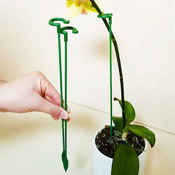30 st Trädgårdsstöd för växter, Enkla stjälkar, Blomstöd, Orkidé, P