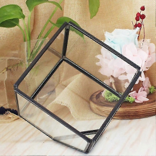 Geometriska Kuber Glas Terrarium Heminredning Växt Suckulent Blomhållare Vas Kruka Qinhai