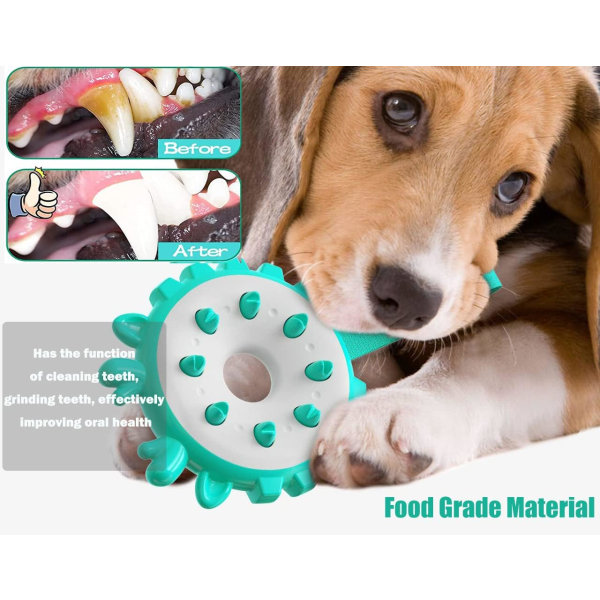 Dog Chew Toys, Green， Naturgummi Molar Ring Dog Cleaning Int