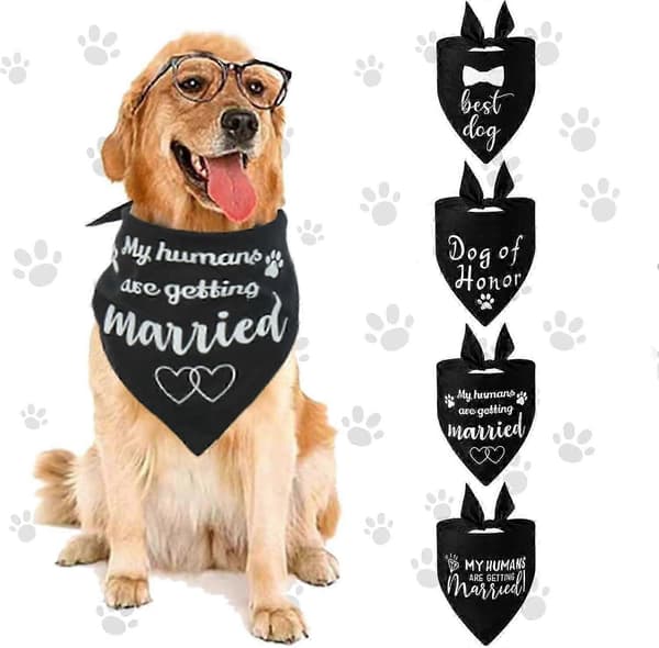 Hund Bröllopsbandana för Nyförlovade Par Påskfotorekvisita