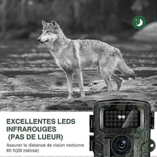 Jaktkamera HD 2.0\" LCD-skärm Trail Camera Mörkerseende Vattentät Djur Infraröd Kamera Utomhus
