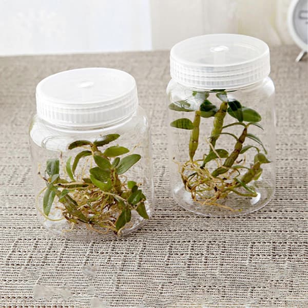 JIKAIX Blomsterodlingsflaska Multifunktionell Värmebeständig Plast Stabil Stöttålig Blomstervattenflaska för Hemmet 270ml