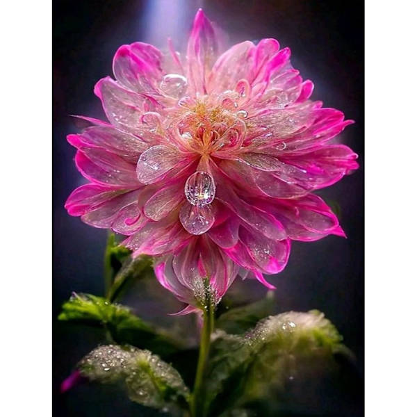 DIY diamantmålning, diamantkonstmålning blomstersats