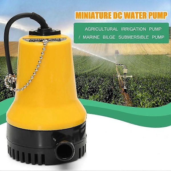 DC 12/24V Mini Dränkbar Vattenpump Ren Pool Trädgård Bevattning Länsverktyg 24V