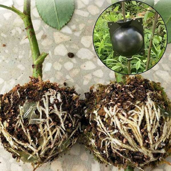 ##/4 st Plantgraferingslåda - Liten, Plantrotningsenhet, Hög Tryck##/