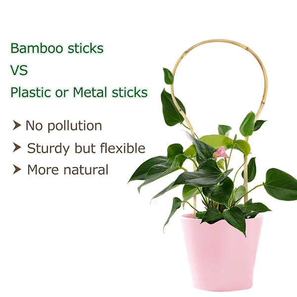 Form Bambus Plantestøtte - 40 cm til indendørs klatreplanter, Efeu