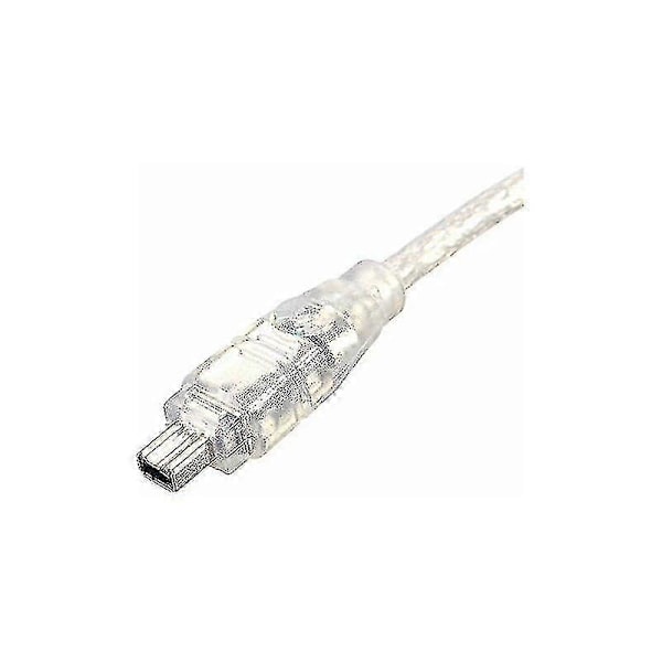 USB Hann til Firewire IEEE 1394 4-pin Hann iLink Adapterkabel for Sony DCR-TRV75E DV