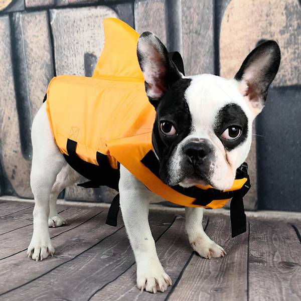 Orange Hundflytväst Hajfena