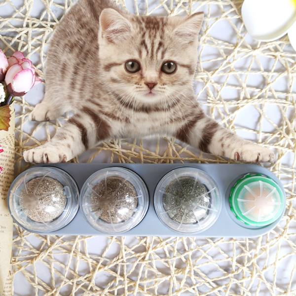 ##/Kattmynta Boll 1 Stycke 4 Bollar i 1 Stycke Kattmynta Leksak Kattmynta Boll Leksak Kattmynta Boll Leksak Bas Mynta/Godisboll för Katt##/