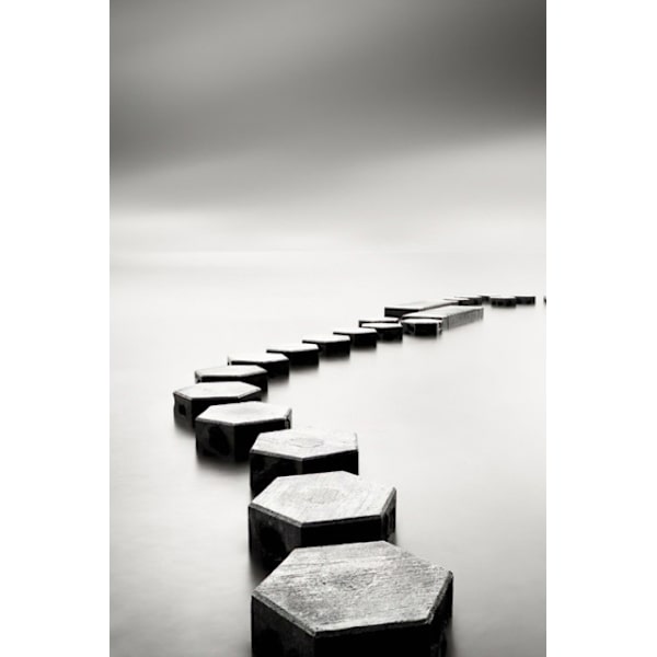 ##/Værelsesdekoration maleri - 30*40*3 - Sort og hvid sø,##/