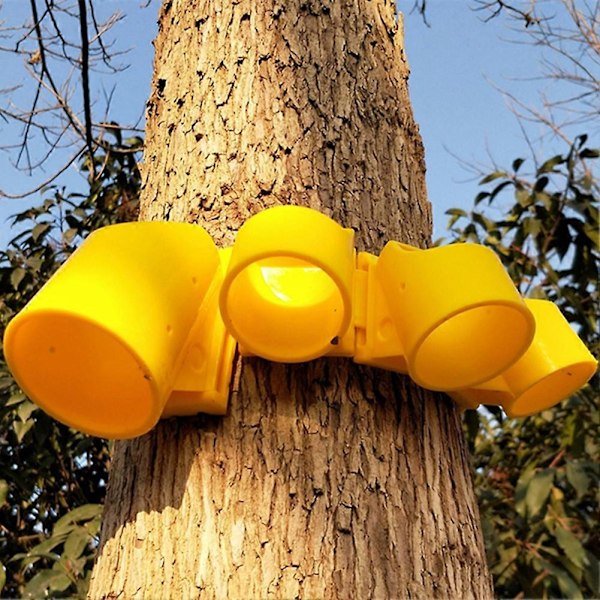 Växtstöd Stor Träd Växande Stödpinnar Stativ Plastkoppar Trädgårdsredskap 50cm Strap