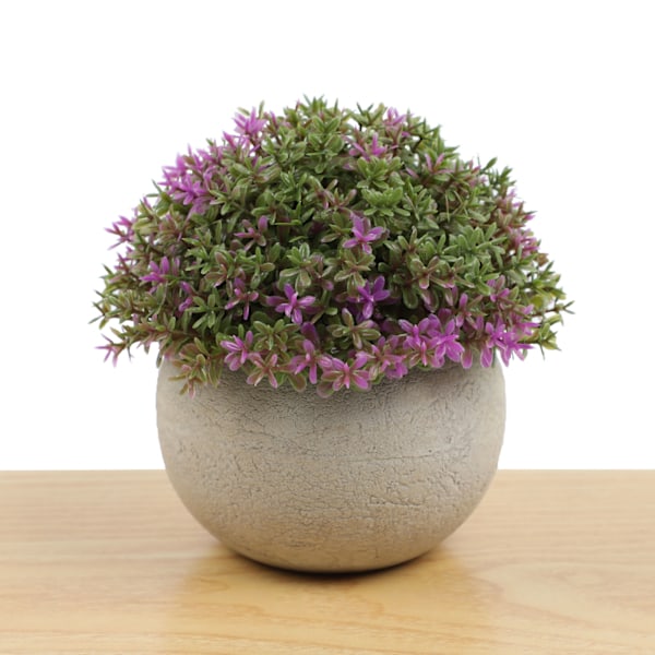 Kunstig stueplante mini kunstige planter potter eukalyptus rosmarin