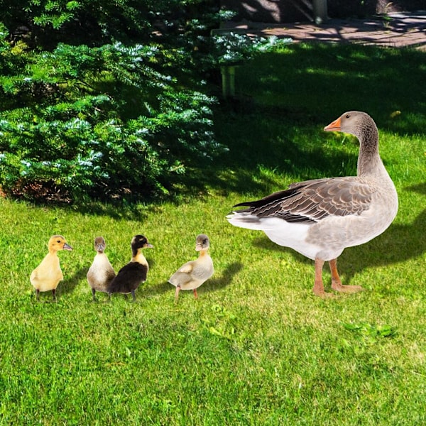 ##/3D Akryl Andeforet Plade til##/