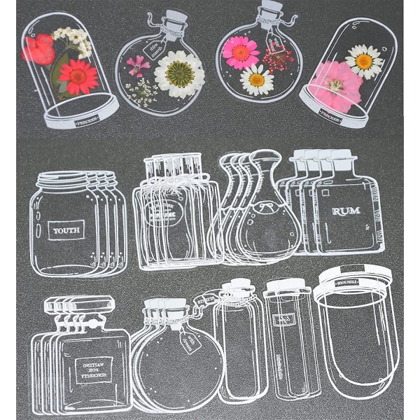 30 st Transparenta Torkade Blombokstäcken, Blombokstäcketillverkare