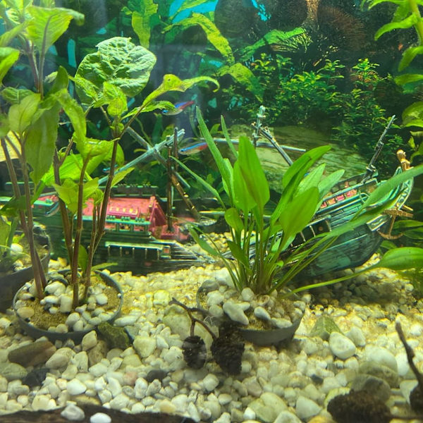 Akvarium Vrag Dekorationer - Luftbobler Sunken Båd Ornament, A