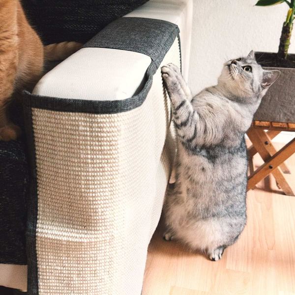 Kattklösmatta - 50 x 60 cm Vänstersidig skydd för soffa möbler