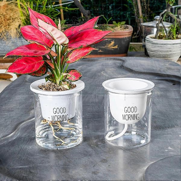 2 Sett Dobbel Hydroponisk Epipremnum Aureum Selvvannende Blomsterpotte Hjemmeinnredning Flat Bottom