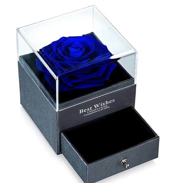 Frisk Rose Opbevaringsboks, Lady Rose Infinity Rose Evig Blomster Gi