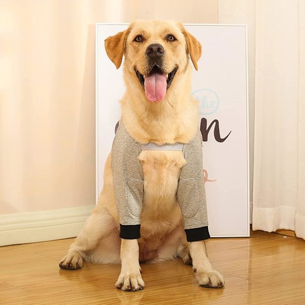 Hundeoperasjonsermhull for forben, beskyttelse for hundens forben