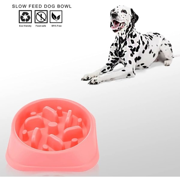 Slow Feeding Dog Slow Feeder Bowl Anti-Slip Design Moro Interaktiv