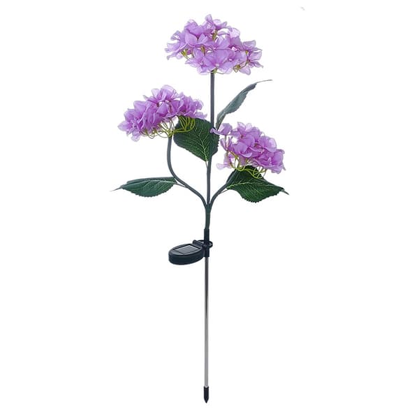 (Violetti) Aurinkopuutarhavalo, puutarha