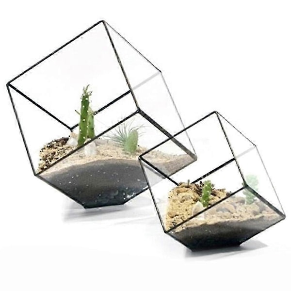 Geometriska Kuber Glas Terrarium Heminredning Växt Suckulent Blomhållare Vas Kruka Qinhai
