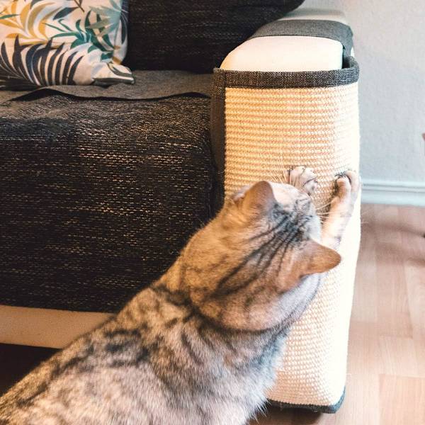 Kattklösmatta - 50 x 60 cm Vänstersidig skydd för soffa möbler