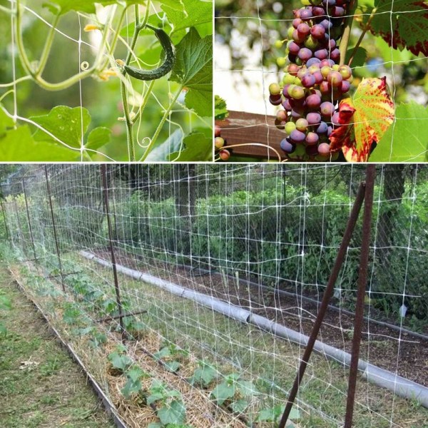 (1.67m x 5m) Netting for Climbing Plants, Large Mesh Support Nett