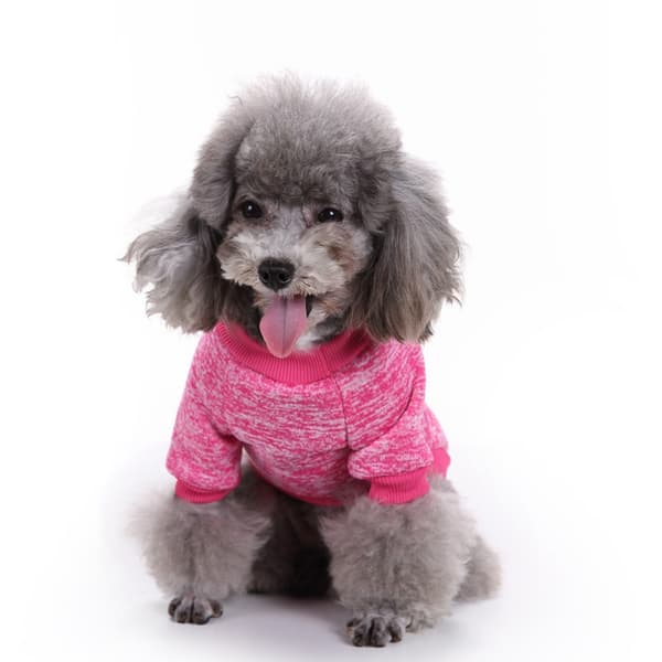 ##/XL Pet Paradise Hundjacka Hundvinterkläder Katttröja Hund##/