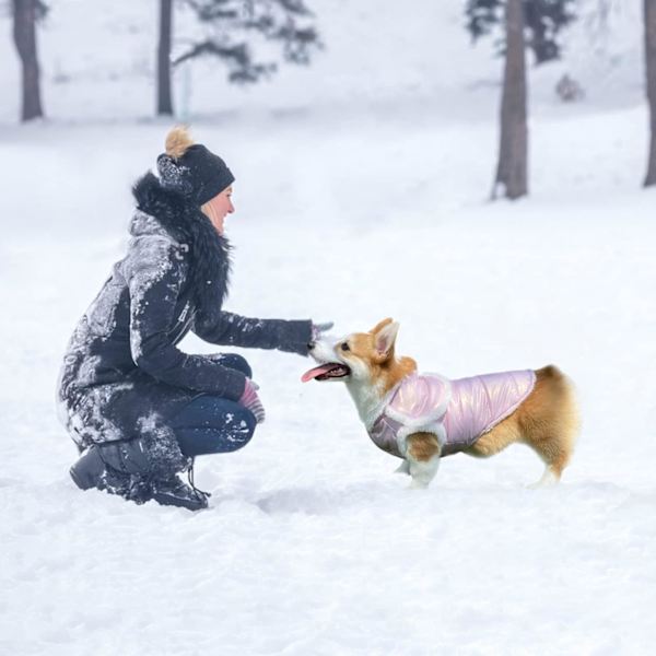 Vattentät Vinter Hundjacka Kappa Varm Hundjacka Vindtät