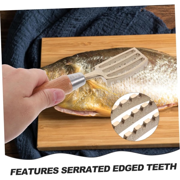 (Fisk ingår ej) Metal Fish Scale Spatel Cleaner Handverktyg F