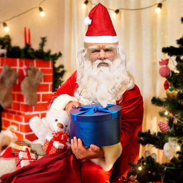Tomte Karnevalsmask