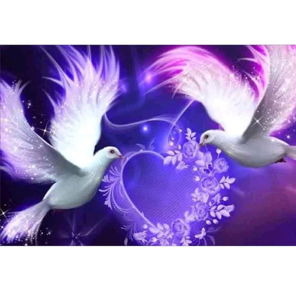5D Mandarin And Diamond Painting Kit 30x40cm, Mal med Nu