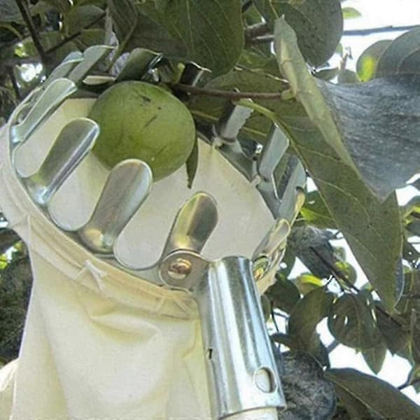 Teleskopisk Fruktplukker, Kirsebærplukker Med Pose Og Verktøy (14cm, 2stk)