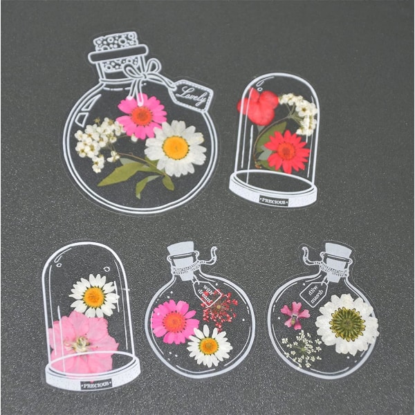 30 st Transparenta Torkade Blombokstäcken, Blombokstäcketillverkare