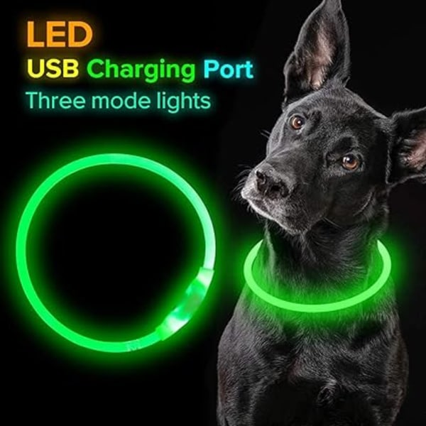 Led-hundehalsbånd, USB-genopladeligt flash-hundehalskædelys, Pet S