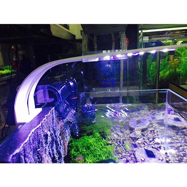 Ultra-tynd LED-lampe til lille akvarium, Akvarielampe w
