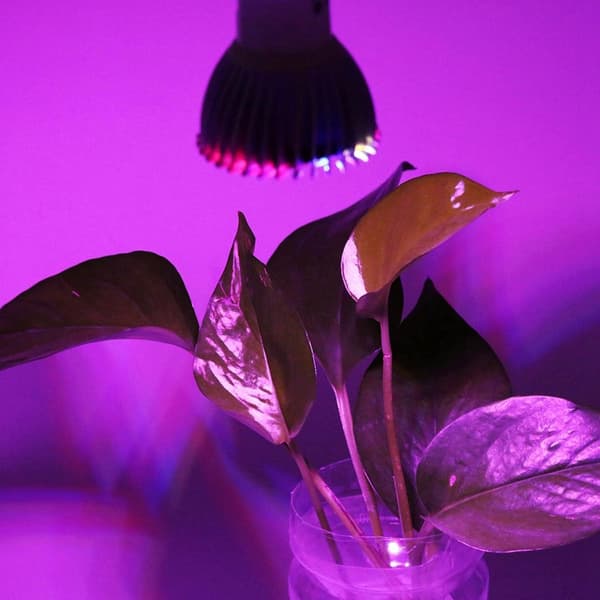 ##/Växtlampa, energisparande 28W fullspektrum aluminium##/