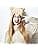 ##/Beige stickad mössa med kattöron för vinter##/
