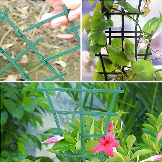 Plante Støtte Vine Klatring Pergola Stilk Fast Støtte Pottet Su