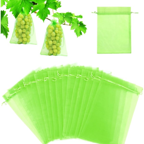 Fruktbeskyttelsespose 60 stk (mosegrønn), druebeskyttelse Ba