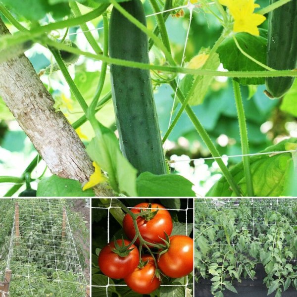 (1.67m x 5m) Netting for Climbing Plants, Large Mesh Support Nett