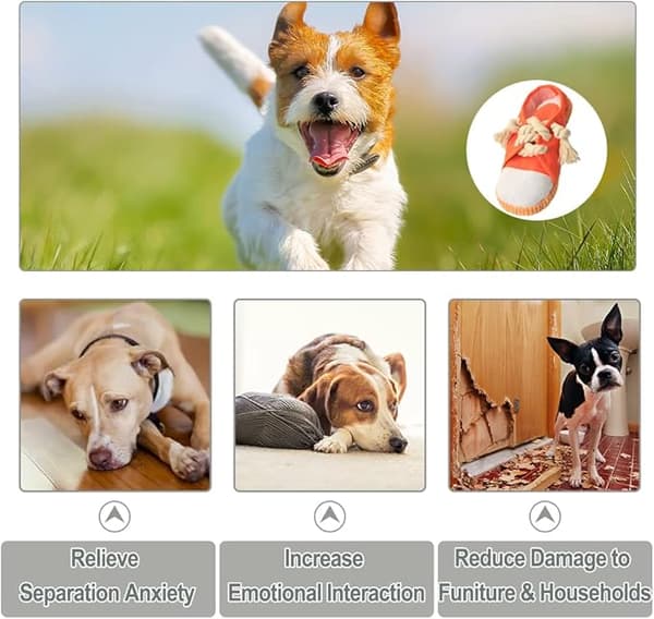 Hundtugg leksak (sko) - Orange - Interaktiv hundleksak - Pipande hund