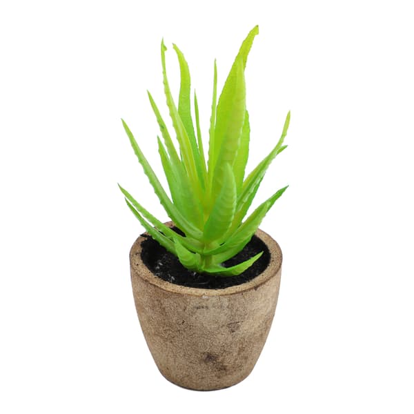 ##/Set med 2 konstgjorda plastsucculenter med blomkruka 12cm##/