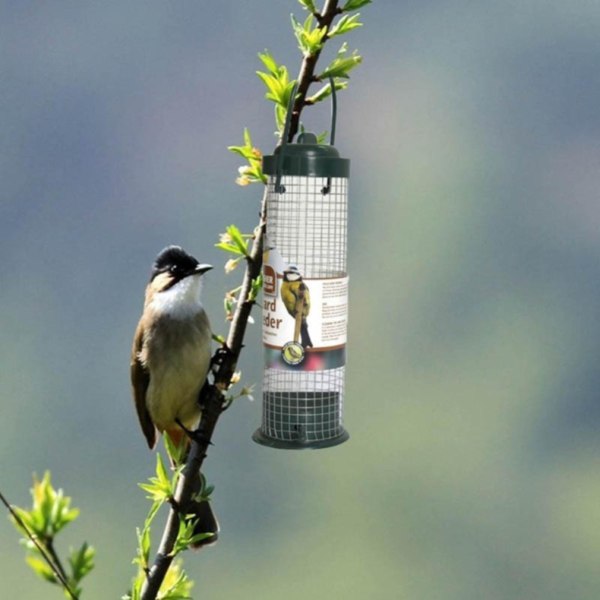 Utendørs fuglemater i rustfritt stål I Fuglefrødispenser I Wate