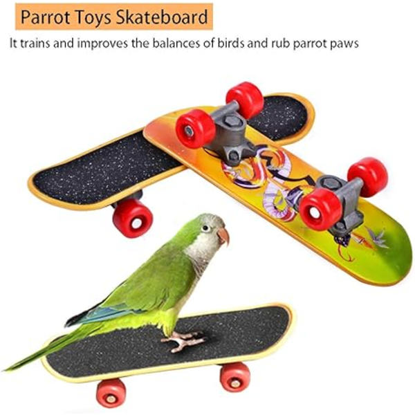 ##/Fire-delt fugleundervisning legetøj papegøje legetøj papegøje skateboard vogn##/