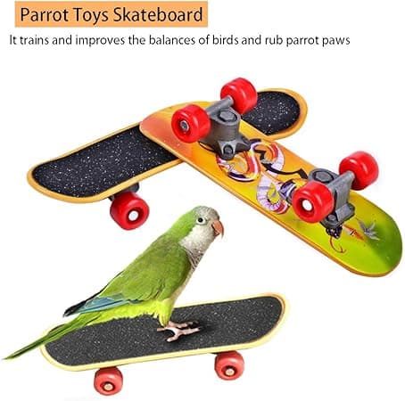Fyrdelad pedagogisk fågelleksak papegojleksak papegojskateboardvagn